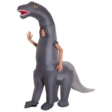Kids Giant Inflatable